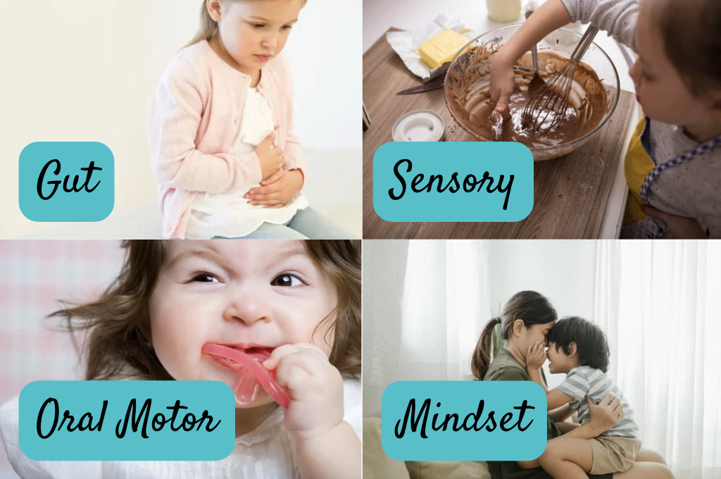 4 pillars of feeding